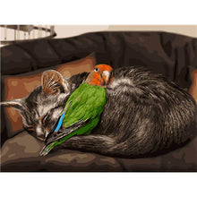 Load image into Gallery viewer, Paint by Numbers - Cat and Parrot
