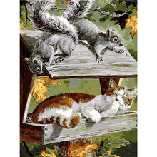 Load image into Gallery viewer, Paint by Numbers - Cat and Squirrel
