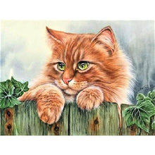 Load image into Gallery viewer, Paint by Numbers - Cat on the Fence

