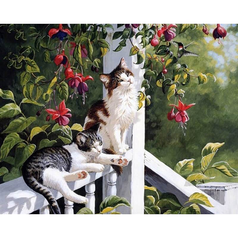 Paint by Numbers - Cats on the Terrace
