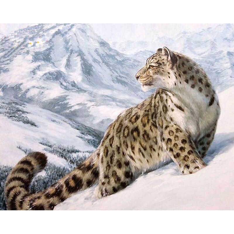 Paint by Numbers - Cheetah in the Snow