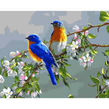 Load image into Gallery viewer, Paint by Numbers - Colorful Birds
