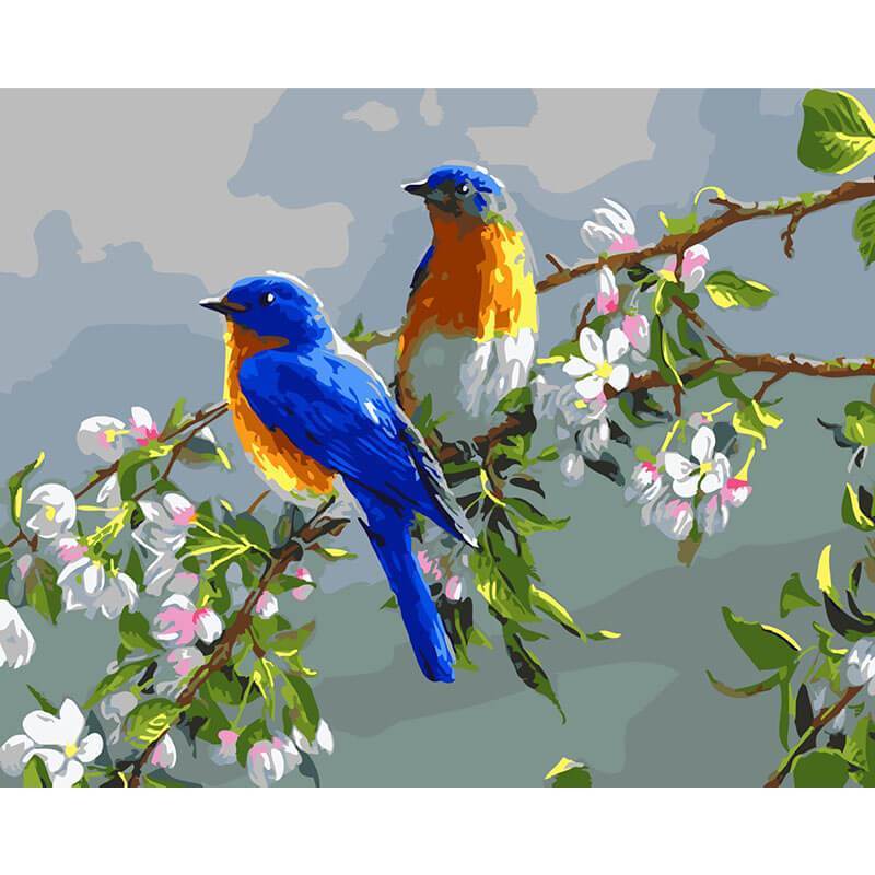 Paint by Numbers - Colorful Birds