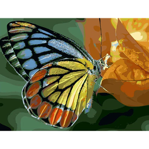Paint by Numbers - Colorful Butterfly
