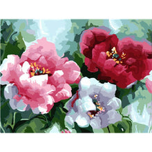 Load image into Gallery viewer, Paint by Numbers - Colorful Flowers

