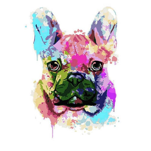 Paint by Numbers - Colorful French Bulldog