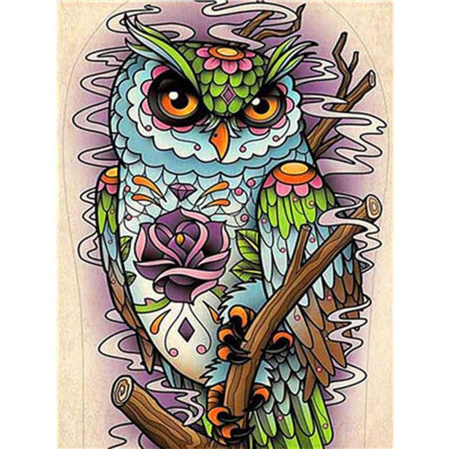Paint by Numbers - Colorful Owl