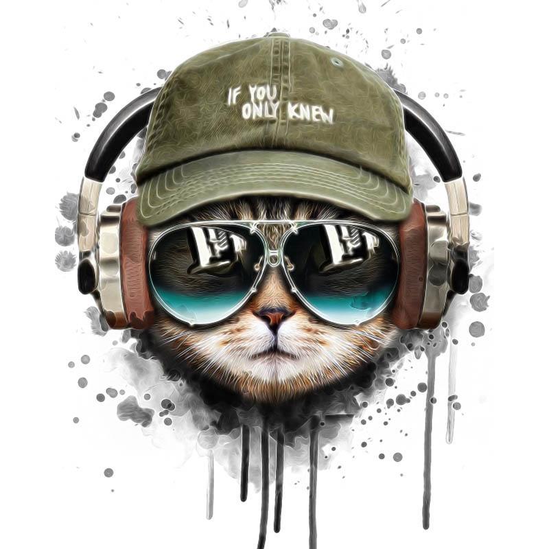 Paint by Numbers - Cool Cat With Headphones