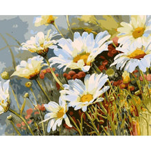 Load image into Gallery viewer, Paint by Numbers - Daisies in the Meadow
