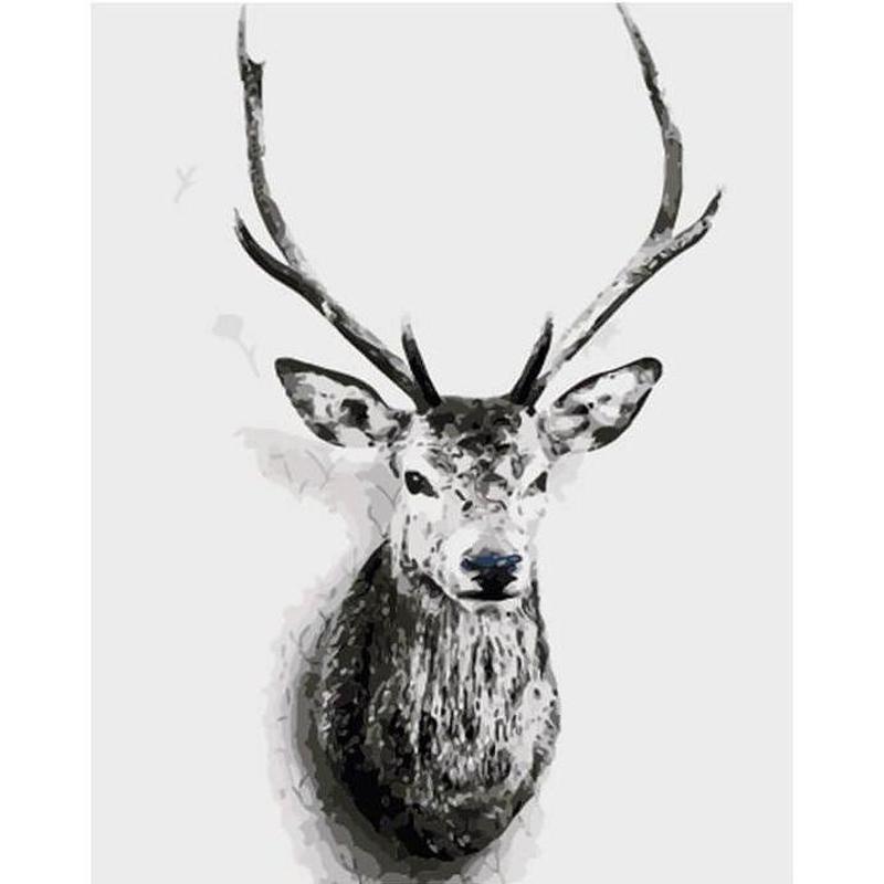 Paint by Numbers - Deer Head on the Wall