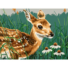 Load image into Gallery viewer, Paint by Numbers - Deer in the Meadows
