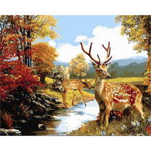 Load image into Gallery viewer, Paint by Numbers - Deer Outdoors
