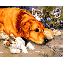 Load image into Gallery viewer, Paint by Numbers - Dog With Two Cats
