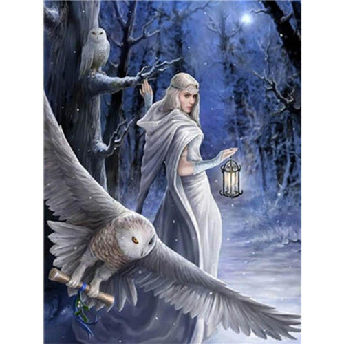 Paint by Numbers - Fairy With Snow Owls