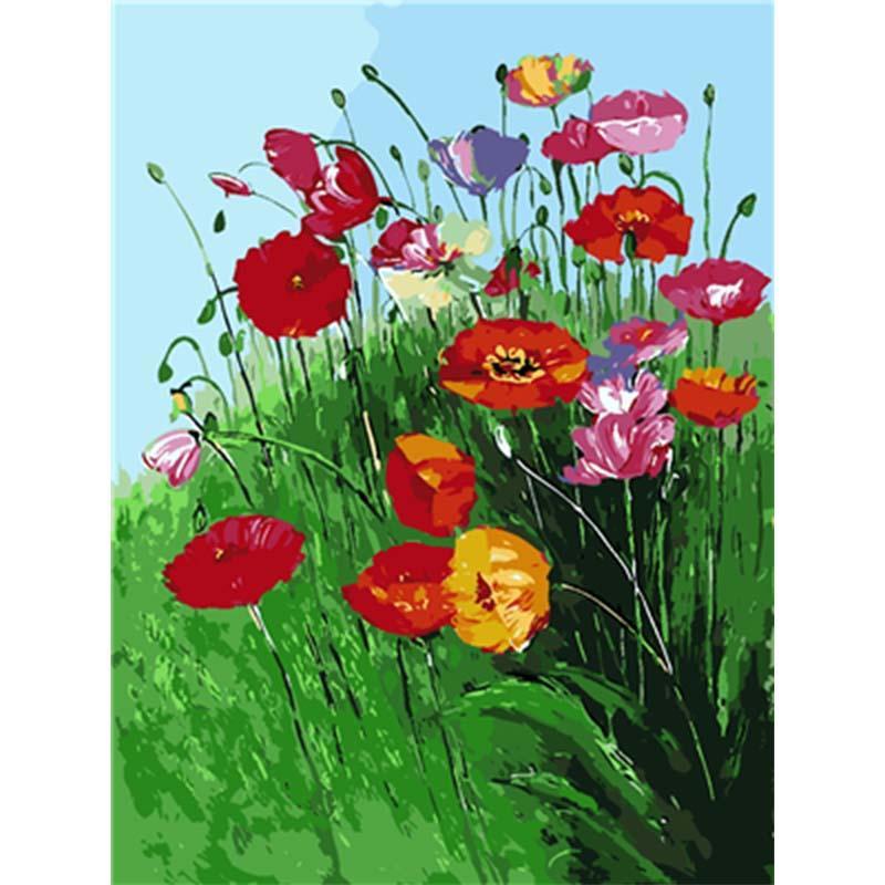 Paint by Numbers - Field Of Poppies