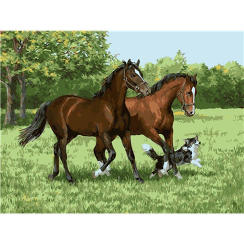 Paint by Numbers - Horse and Dog