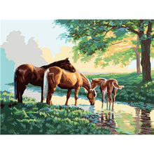 Load image into Gallery viewer, Paint by Numbers - Horses From Drinking
