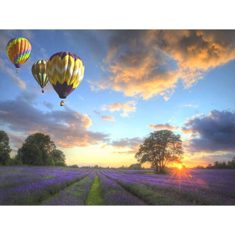Paint by Numbers - Hot Air Balloons Under a Lavender Field