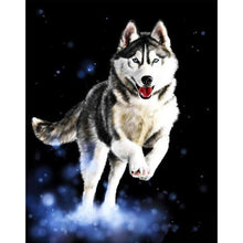 Load image into Gallery viewer, Paint by Numbers - Husky
