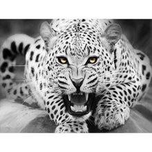 Load image into Gallery viewer, Paint by Numbers - Leopard Black
