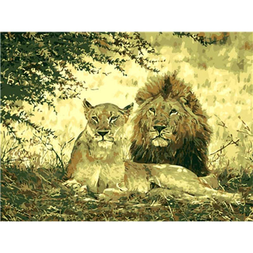 Paint by Numbers - Lion Couple in the Shade