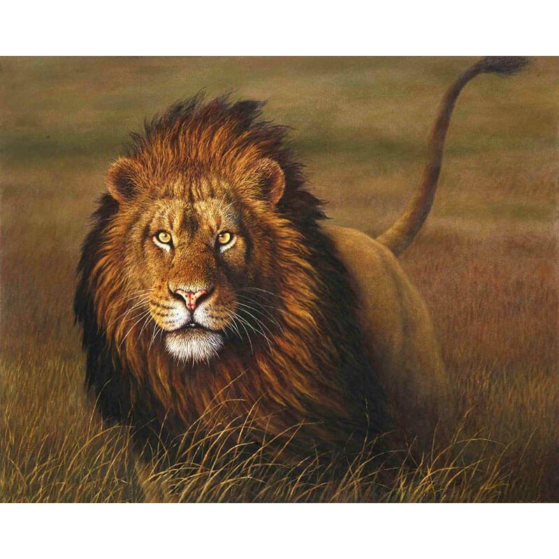 Paint by Numbers - Lion in the Wild