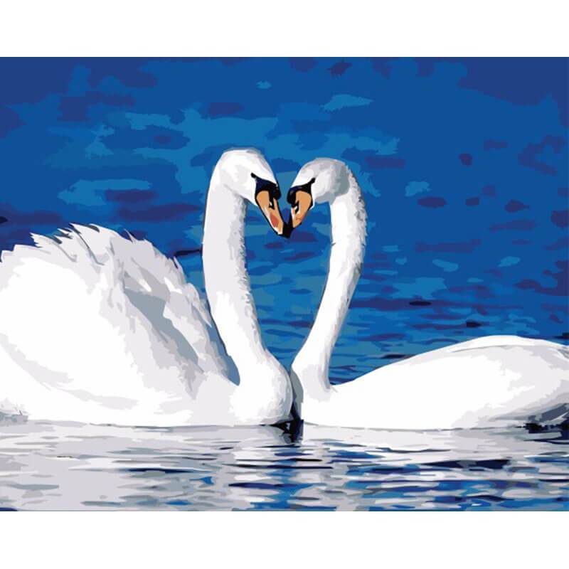 Paint by Numbers - Love Swans on the Water