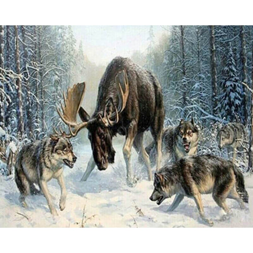 Paint by Numbers - Moose Against Wolves