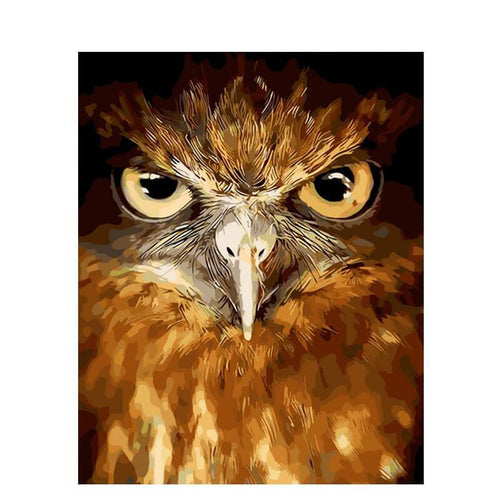 Paint by Numbers - Owl Face
