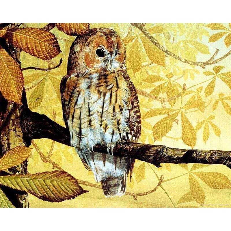 Paint by Numbers - Owl in Autumn