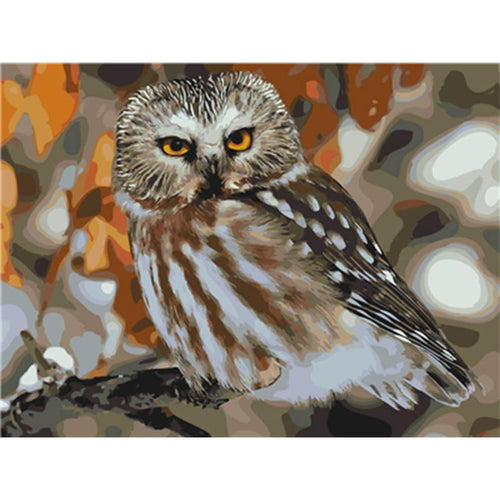 Paint by Numbers - Owl on A Branch