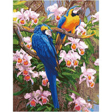 Load image into Gallery viewer, Paint by Numbers - Parrots
