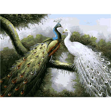 Load image into Gallery viewer, Paint by Numbers - Peacocks Couple on Road
