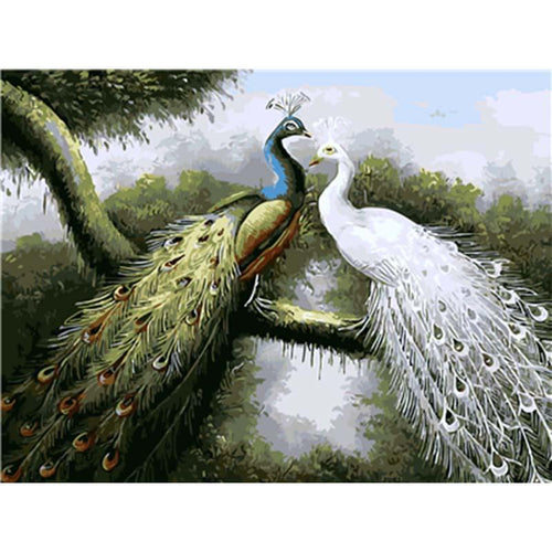 Paint by Numbers - Peacocks Couple on Road