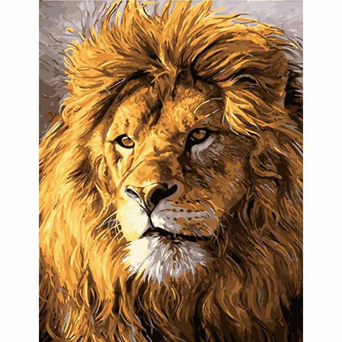 Paint by Numbers - Powerful Lion Portrait