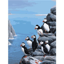 Load image into Gallery viewer, Paint by Numbers - Puffins on Rocks
