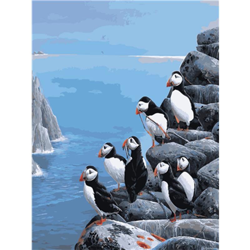 Paint by Numbers - Puffins on Rocks