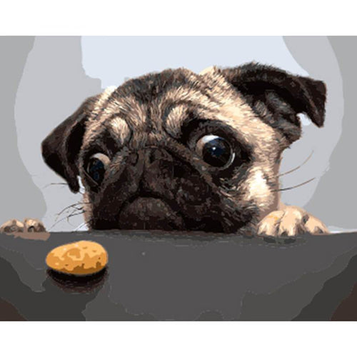 Paint by Numbers - Pug and Biscuit