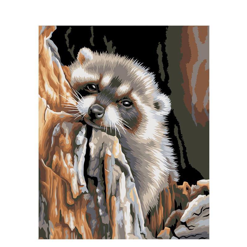 Paint by Numbers - Raccoon