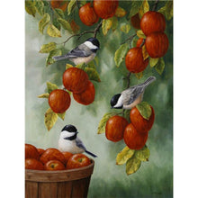 Load image into Gallery viewer, Paint by Numbers - Red Apples in the Basket
