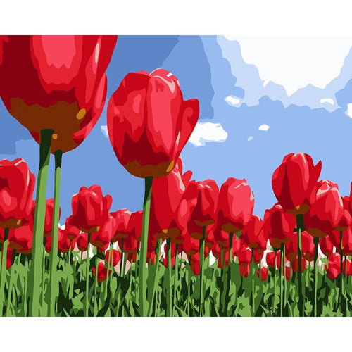 Paint by Numbers - Red Tulips Meadow