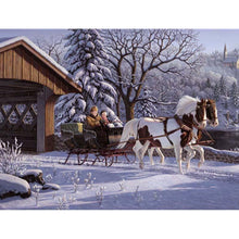 Load image into Gallery viewer, Paint by Numbers - Sleigh Ride
