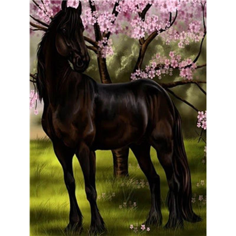 Paint by Numbers - Stallion Under a Cherry Tree