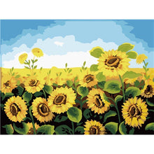 Load image into Gallery viewer, Paint by Numbers - Sunflower Field

