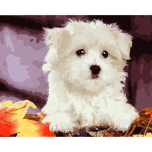 Load image into Gallery viewer, Paint by Numbers - Sweet Dog
