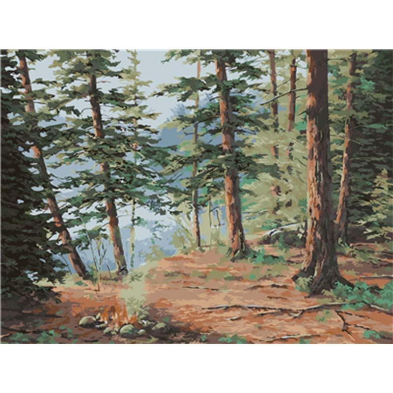 Paint by Numbers - the Beautiful Forest