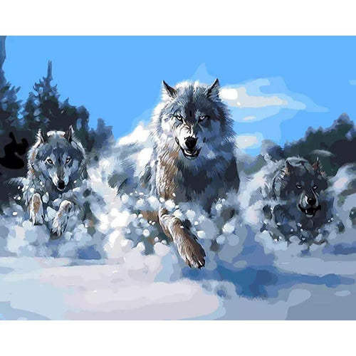 Paint by Numbers - Three Wolves in Snow