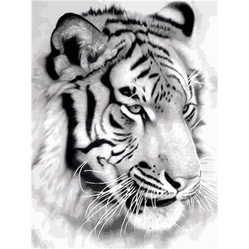Paint by Numbers - Tiger Face