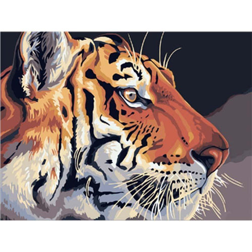 Paint by Numbers - Tiger Head