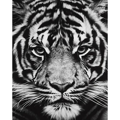 Paint by Numbers - Tiger in Black and White